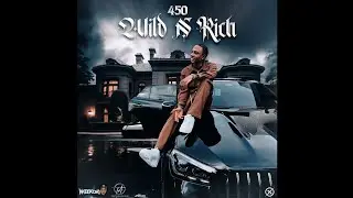 450 - Wild and Rich Lyrics