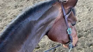 Vlog - ritorno in sella dopo 2 settimana di fermo