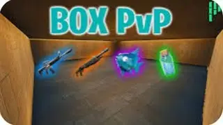 1v1 Pandvil Box Fight