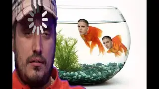 Паша Техник хочет аквариум(feat.Паша Техник