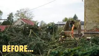 CLEANING up BRANCHE after a FALLER TREE during FLOOD