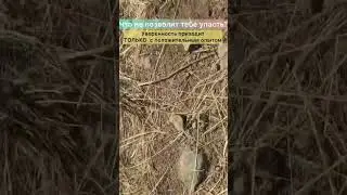 КОГДА ЕСТЬ ЧЕТКАЯ СИСТЕМА ОБУЧЕНИЯ➡️ БУДЕТ РЕЗУЛЬТАТ ➡️БУДЕТ МОТИВАЦИЯ