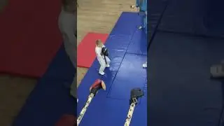 Тренировки по Кудо 