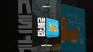사지말고 입양하세요 #새로고침 #유기견입양