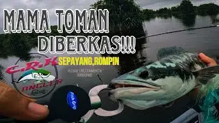 MAMA TOMAN SEPAYANG MEMANG GANAS DAN  BANYAK!! #ROMPIN #TOMAN #ozmysilencer
