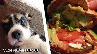 MCDONALDS TRIP & ALFIE THE DOG VLOG DEBUT