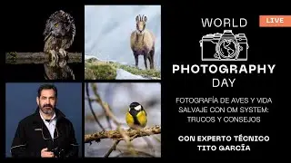 Spanish | Fotografía de aves y vida salvaje con OM SYSTEM: trucos y consejos