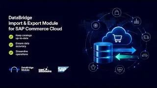 SaM Solutions DataBridge Import and Export Module for SAP Commerce Cloud