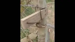замок для калитки