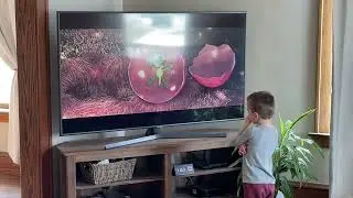 Arlo sees his Dino namesake