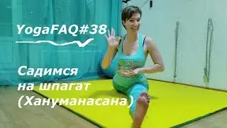 YogaFAQ#38: Садимся на шпагат (Хануманасана)