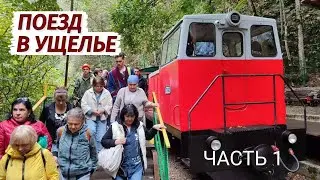 МЫ в ШОКЕ. ПОЕЗД в УЩЕЛЬЕ. Гуамка поражает. Стоит ли ехать? Часть 1.