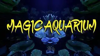 Magic Auarium Vol.2 - Six a`half hours in 4k with great Music