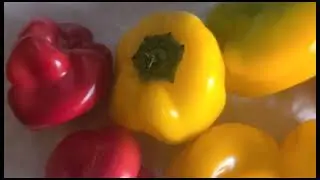 Nutrient Vitamin-Rich Veggies: Ball Peppers - Red, yellow, orange and green.