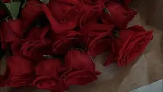 Снитесь ли Вы ему?помнит ли он свои сны о Вас.