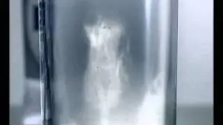 Efe Raki Reklamları