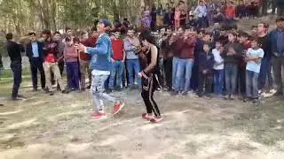 Туй ракси хулигани