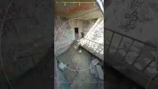 MAV сквад ( звук) 