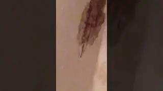 ДЕБИЛИЗМ И БЕЗУМИЯ ПРОДОЛЖАЮТСЯ В ЖИЛОМ ДОМЕ