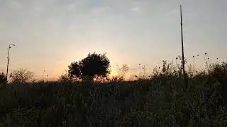 Виды природы