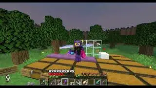 Ivy SMP application