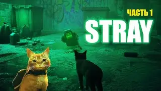 Прохождение игры STRAY. Начало. Знакомство с геймплеем.