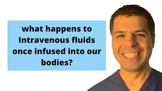 IV fluids course (11): Guess what happens to Intravenous fluids once infused into our bodies?