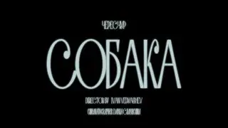 Чересчур - собака (Official Music Video)