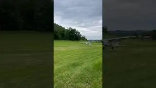 At it again Fatsow playing in the grass. #fatsow #flygooddontsuck #aviation #pilotstuff