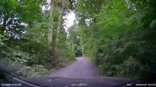 deer on my driveway