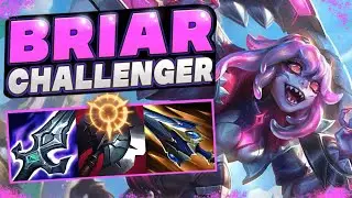 NEW Briar Jungle CARRY Build For Climbing All Ranks