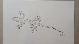 Как нарисовать ящерицу