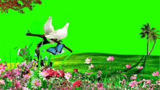 Green screen Nature Background Video free download l Beautiful Nature Scenery