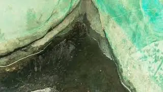 burayak ikan nila umur 1 minggu