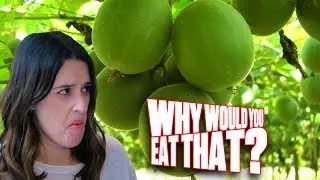Zero Calorie Super Sweetener aka Monk Fruit - Why Would You Eat That