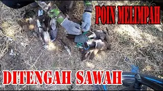 TARGET MELIMPAH DITENGAH SAWAH