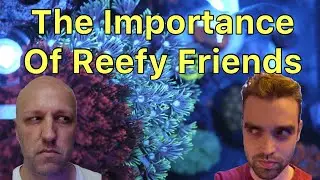 How Important Are Friends In The Hobby? The Prestige Reef Dork Show Episode 49