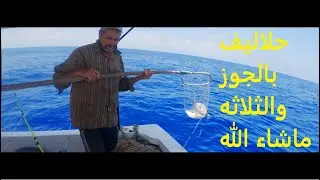 بعد غيبه طلعه تسقيط على السريع