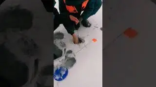 Щука в Волжском затоне. куйбышевское водохранилище