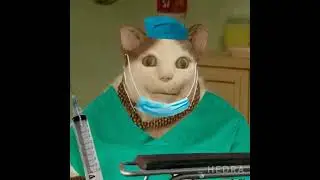 Бу! Испугался? 