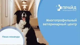 Ветеринарный центр 