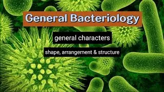 General Bacteriology (general characters, shape, arrangement, structure of bacteria) #microbiology