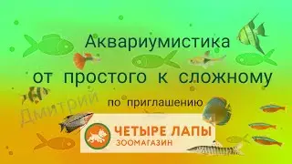Аквариумистика от простого к сложному.