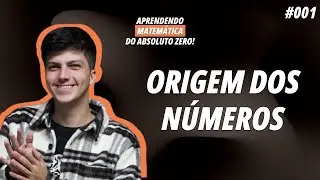 Aprendendo Matemática do Absoluto ZERO! | Origem dos Números | 