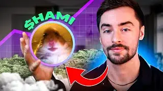 Running a Multi-Million Dollar Solana Meme Coin Project ($HAMI Update 12)
