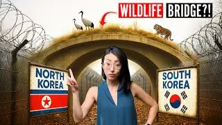Why The Most Dangerous Border on Earth needs a Wildlife Bridge