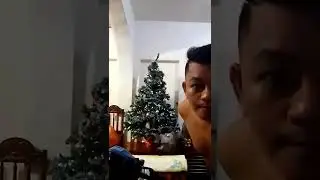 DECORATING CHRISTMAS TREE TO FEEL THE SEASON'S PRESSENCE