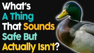 What Is Something That Sounds Safe But Actually Isn't?