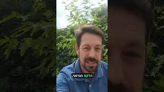 האם אםשר להשקיע במדדים שאינם מדד ה-S&P 500?
