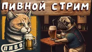 ПЯТНИЧНЫЙ ПИВНОЙ СТРИМ. ДУБЛИРУЕТСЯ НА ТВИЧЕ И ВК